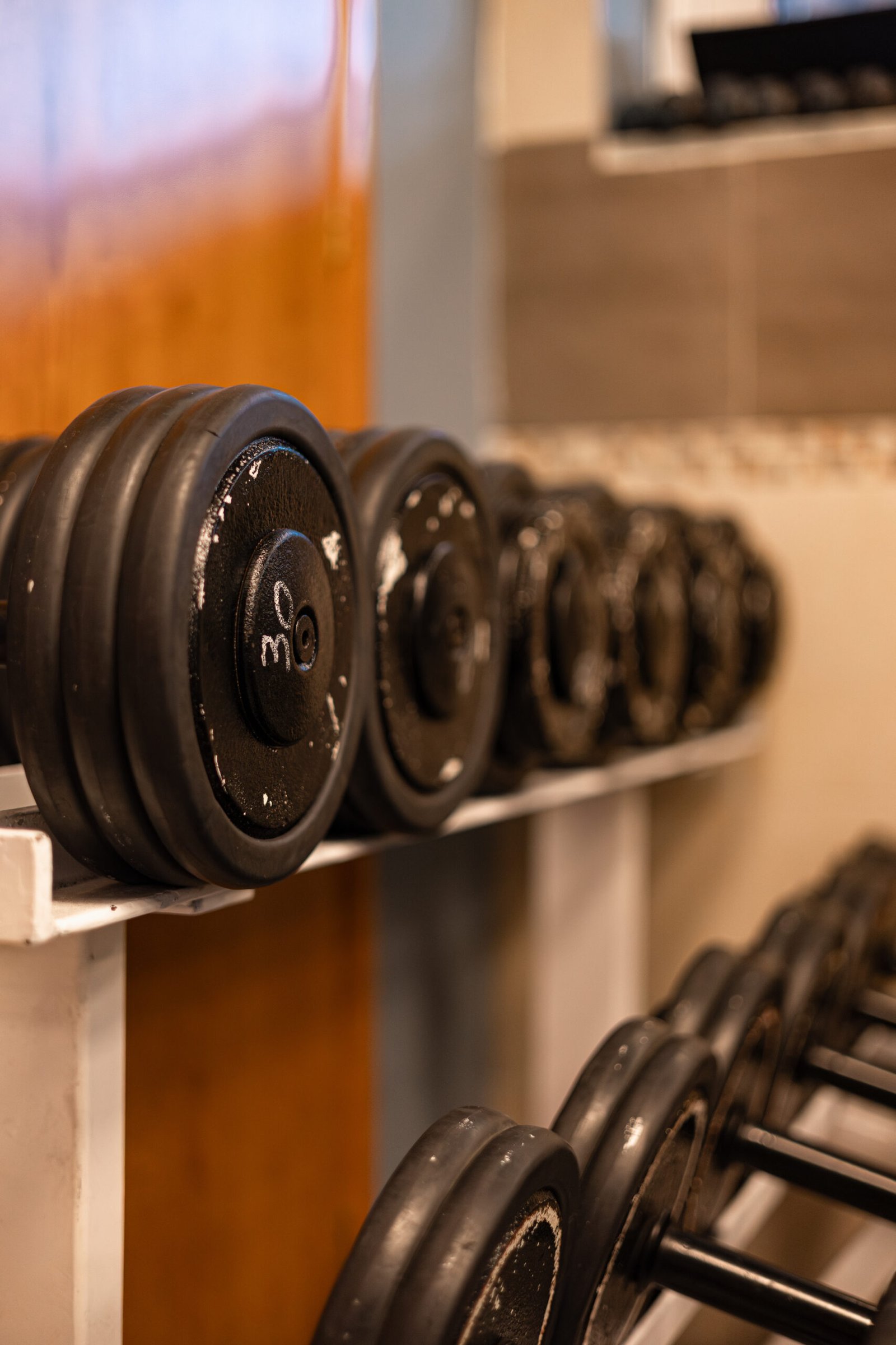 Palestra A Loano
